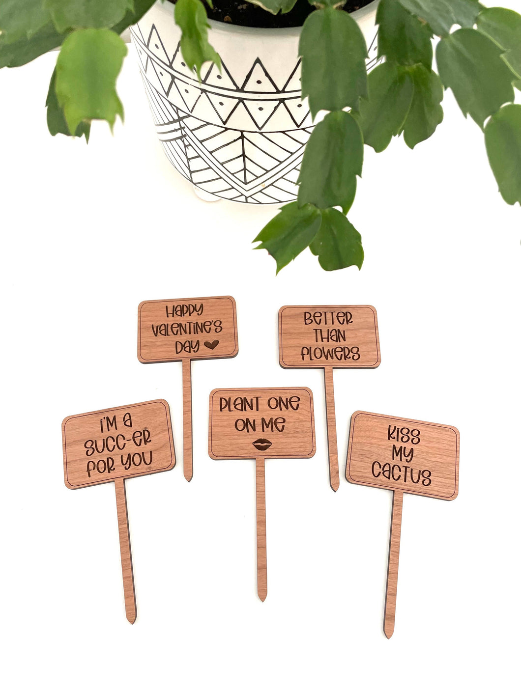Dogwood and Dust - Valentines Day Funny Plant Signs